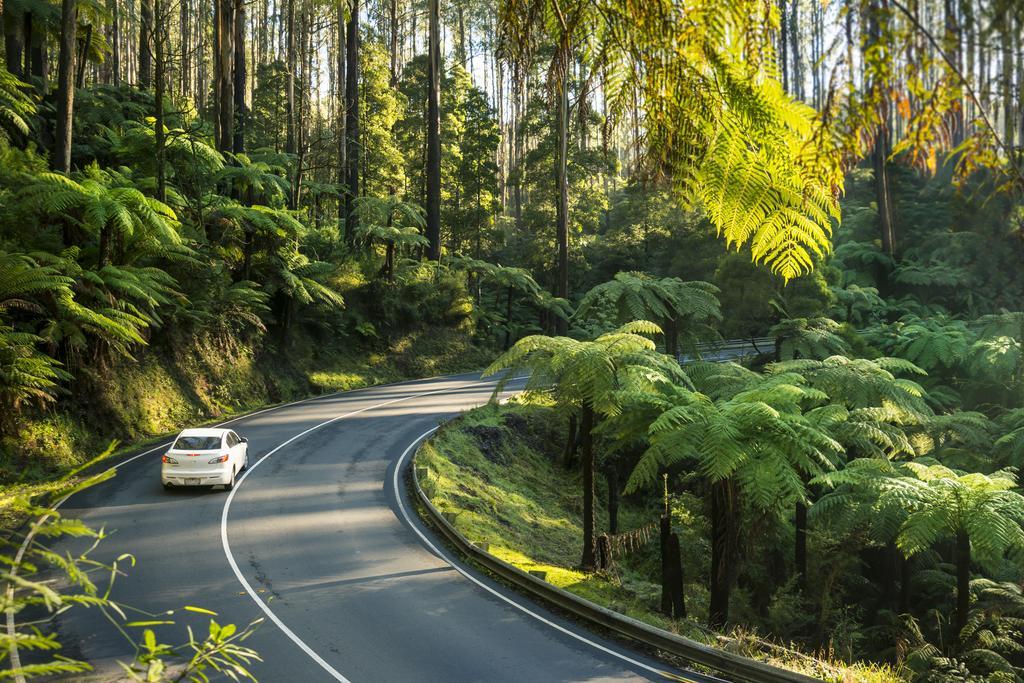 Lithgow Falls Marysville Buitenkant foto